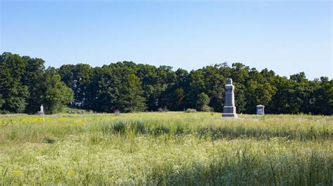 thewheatfield